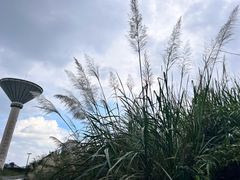 -5·12汉旺地震遗址