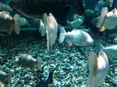 -成都浩海立方海洋公园