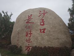 -单家老院·院子里的青岛菜(沙子口店)