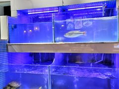 -王捌小院(红花坡店)