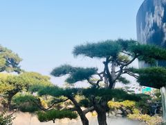 -罗红摄影艺术馆