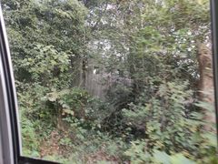 -紫金山索道-售票处
