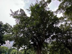 -南宁南湖公园