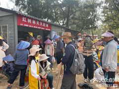 -红树林天天赶海