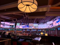 -拉斯维加斯永利酒店