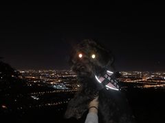 -鬼笑石后山停车场