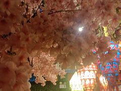 -吉祥圣雪藏餐