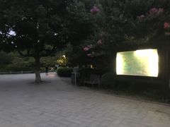 -范蠡湖公园