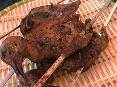 -天羽烤乳鸽店(财大家属院店)