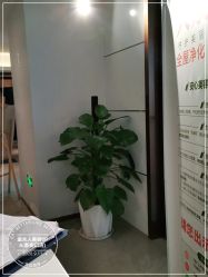 -金夫人美容