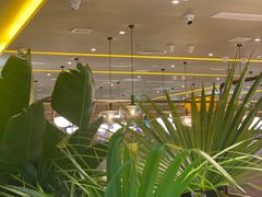 -润园四季椰子鸡火锅(南山海岸城店)