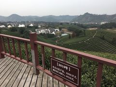 -帐篷客·溪龙茶谷度假酒店