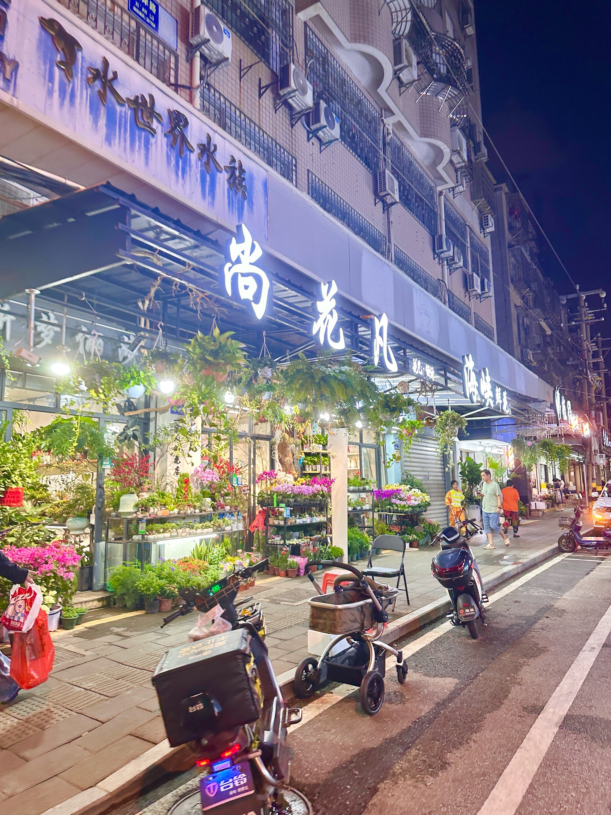 茶花女香榭丽舍大街图片