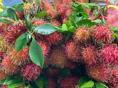 -港华水果街(港华广场店)