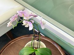 -南堂馆·新川菜(春熙路店)