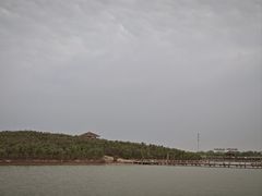 -南大港湿地风景区