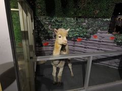 -常州海昌海洋探索馆