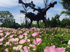 -洋湖国家湿地公园