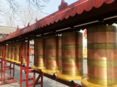 -护国法轮寺