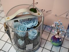 -星光摄影器材城