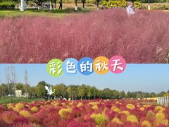 -天津东丽湖风景区