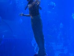 -太平洋海底世界