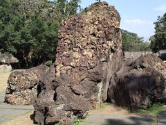 -海口火山口国家地质公园