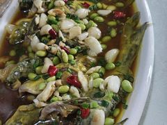 -呼吸森林·生态农庄农家乐私房菜