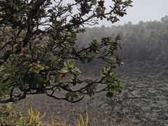 -夏威夷火山国家公园