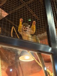 -Zoolung Zoolung动物主题公园(海信广场店)