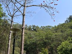 -深圳国际园林花卉博览园