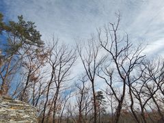 -北京西山国家森林公园