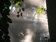-西双版纳原始森林公园