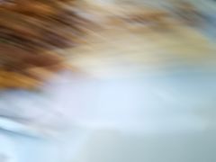 -新疆民族团结羊肉串(锦江区店)