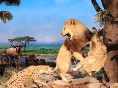 -国家自然博物馆