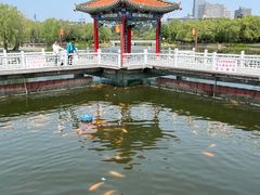 -长春市南湖公园