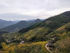 -紫鹊界梯田景区