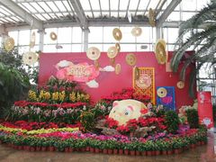 -石家庄市植物园