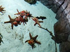 -福州罗源湾海洋世界旅游区