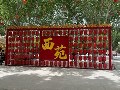 -西苑公园