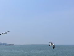 -长岛南北长山旅游景区