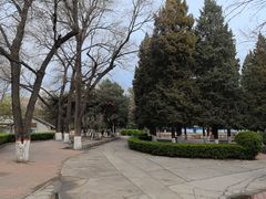 -保定市动物园