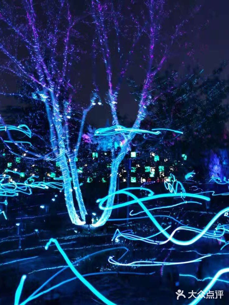 新奇有趣流光溢彩的玉渊潭夜景灯光秀