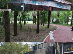 -长春公园(普阳街道)