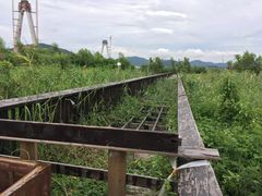 -芒洲湿地公园