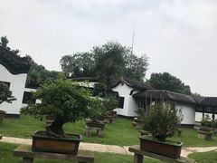 -天井湖游乐园