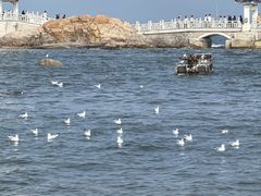 -兴城海滨风景区