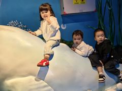 -海合安成都极地海洋公园