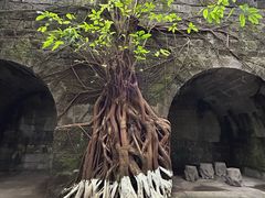 -涞滩古镇