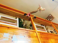 -长颈鹿咖啡(大学路店)